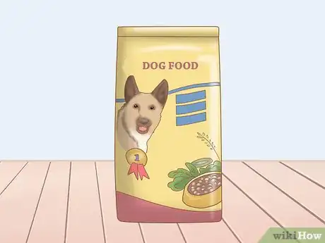 Imagen titulada Care for a Belgian Malinois Step 13