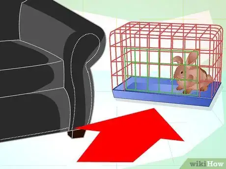 Imagen titulada Make Your Bunny Come to You when You Open the Cage Step 1
