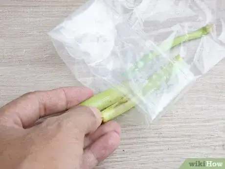 Imagen titulada Preserve Fennel Step 2