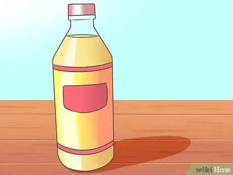 Imagen titulada Eliminate a Flea Infestation in Your Home Step 17