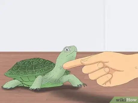 Imagen titulada Pet a Turtle Step 4
