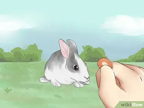 Imagen titulada Catch a Pet Rabbit Step 3
