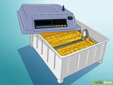 Imagen titulada Raise Quail Step 11
