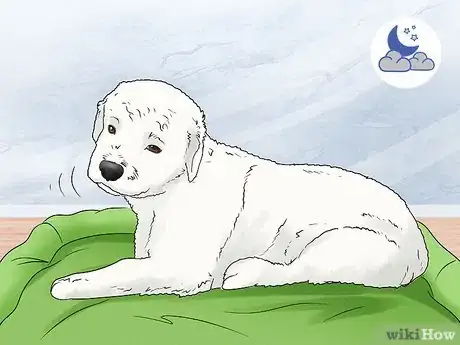 Imagen titulada Train a Dog Step 15