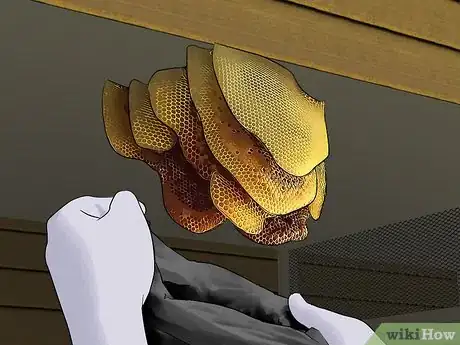 Imagen titulada Get Rid of a Beehive Step 11