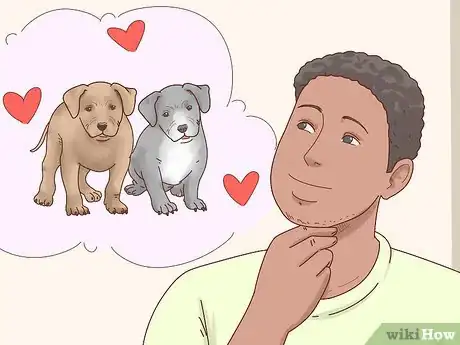 Imagen titulada Breed Pit Bulls Step 1