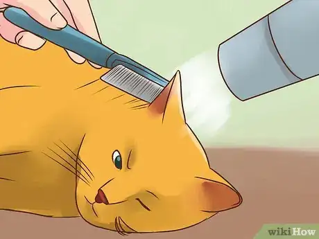 Imagen titulada Treat Lice in Cats Step 13