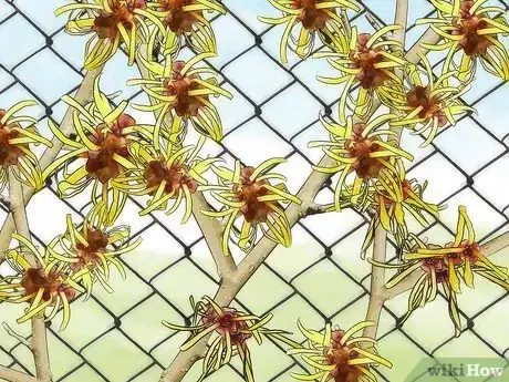 Imagen titulada Hide a Fence Step 7