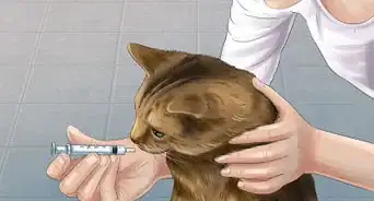 salvar a un gato atacado por perros