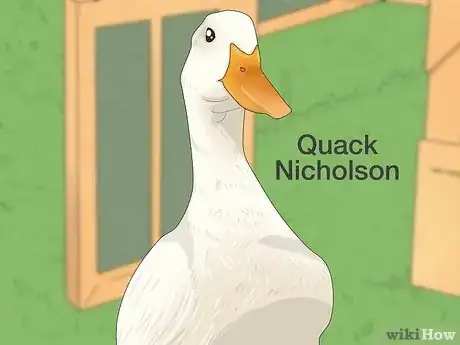 Imagen titulada Train Ducks Step 10