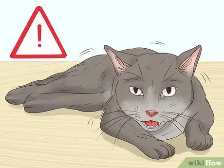 Imagen titulada Help a Cat Cough Up a Hairball Step 17