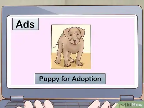 Imagen titulada Breed Pit Bulls Step 5