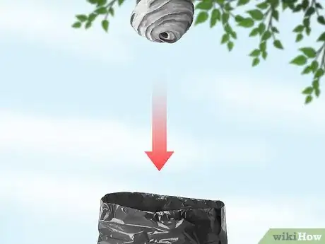 Imagen titulada Kill a Hornet Nest Step 18