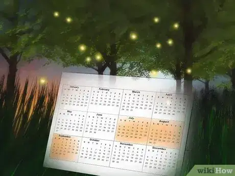 Imagen titulada Catch a Firefly Step 2