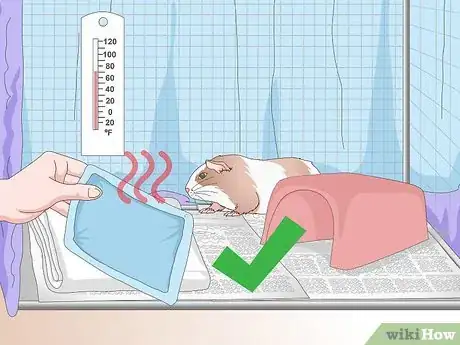 Imagen titulada Keep Guinea Pigs Warm Step 14