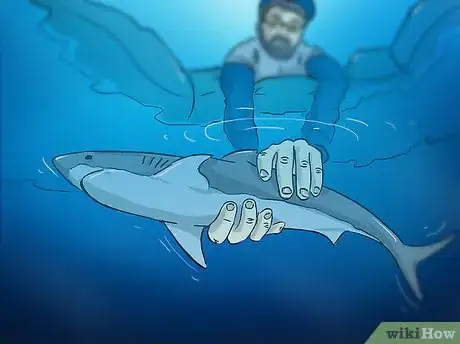 Imagen titulada Fish for Shark Step 12