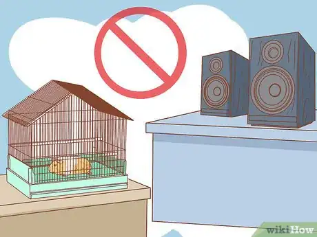Imagen titulada Help Your Guinea Pig Adjust to You Step 6
