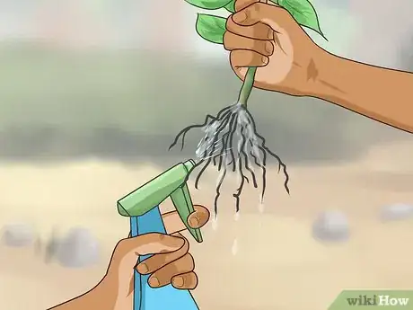Imagen titulada Bring Plants Indoors over Winter Step 2