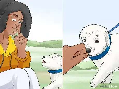 Imagen titulada Train a Dog Step 11