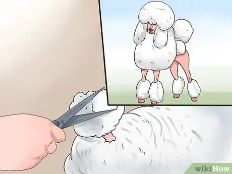 Imagen titulada Groom a Poodle Step 31