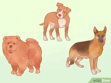 Imagen titulada Choose a Dog Step 2