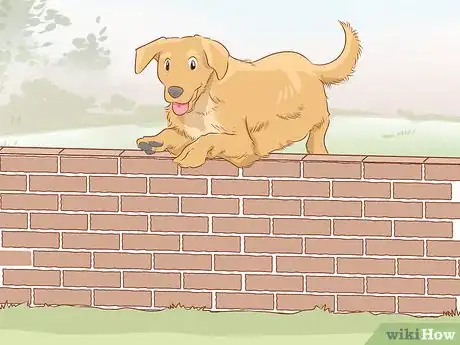 Imagen titulada Teach Your Dog to Jump Step 11