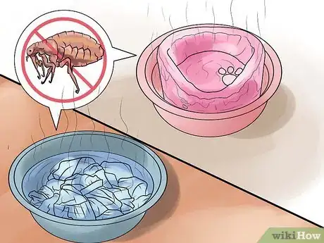 Imagen titulada Rid Your Pet of Fleas Step 21