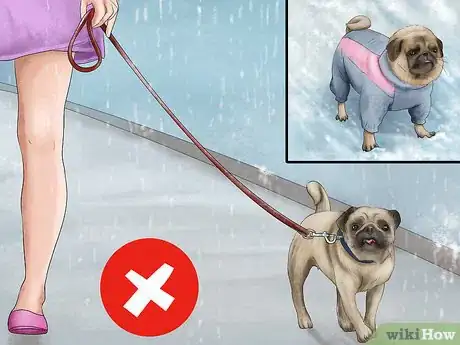 Imagen titulada Care for a Pug Step 11
