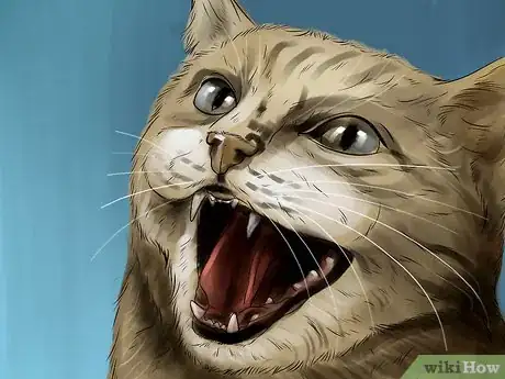 Imagen titulada Diagnose and Treat Dislocated Joints in Cats Step 3