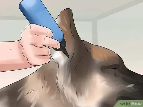 Imagen titulada Tape Up Stubborn German Shepherd Puppy Ears Step 16