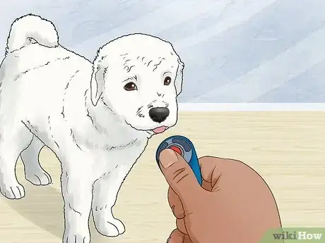 Imagen titulada Train a Dog Step 13