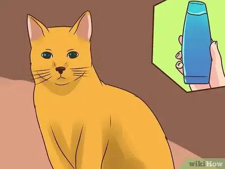 Imagen titulada Treat Lice in Cats Step 15