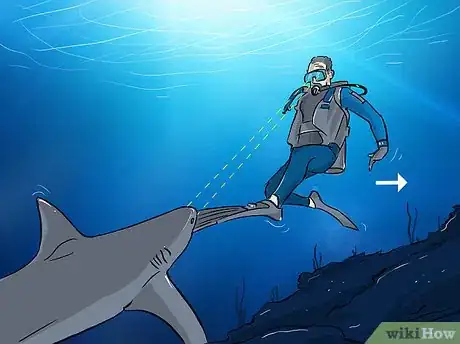 Imagen titulada Fish for Shark Step 16