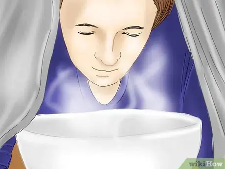 Imagen titulada Deal with a Dry Throat Step 1