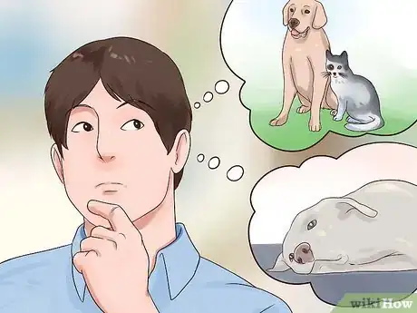 Imagen titulada Check a Dog for Ringworm Step 13