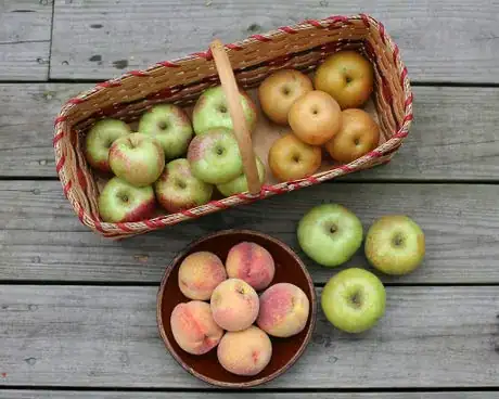 Imagen titulada FruitShare_Week6