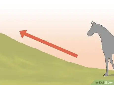Imagen titulada Get a Horse Fit Step 11