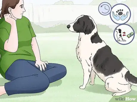 Imagen titulada Hug a Dog Step 2