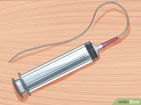 Imagen titulada Nurse a Dog Through Parvo Step 3