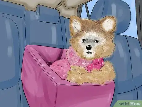 Imagen titulada Take Care of Teacup Puppies Step 11