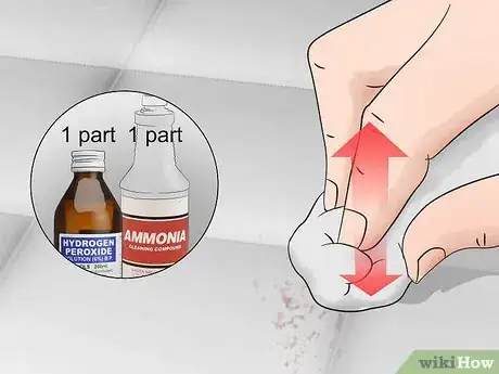 Imagen titulada Get Rid of Bed Bug Stains Step 7