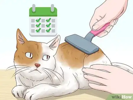 Imagen titulada Help a Cat Cough Up a Hairball Step 20