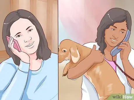 Imagen titulada Get Another Dog After a Pet Dog's Death Step 9