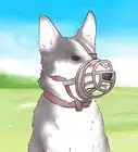 educar a un cachorro para que no muerda