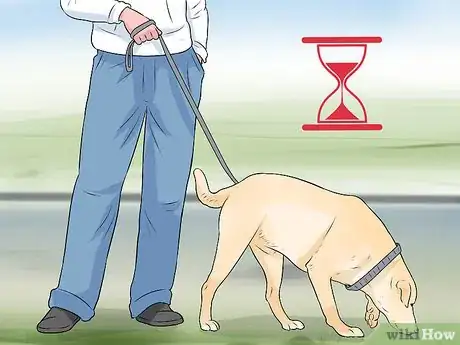 Imagen titulada Get Your Dog to Pee on Command Step 5