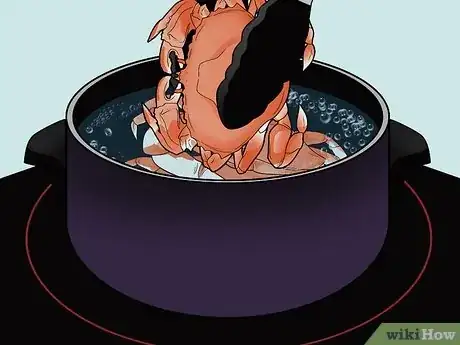 Imagen titulada Cook a Crab Step 12