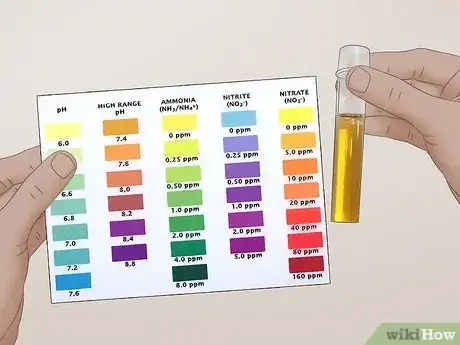 Imagen titulada Start a Saltwater Aquarium Step 25