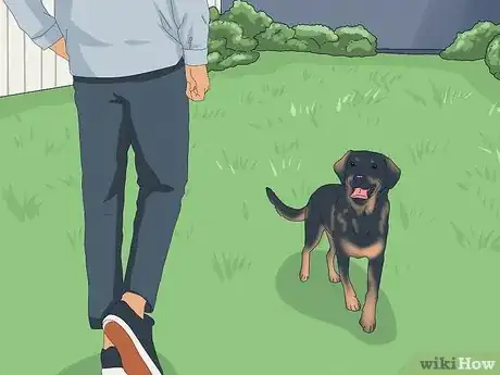 Imagen titulada Pet a Dog Step 2