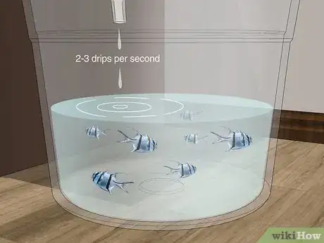 Imagen titulada Start a Saltwater Aquarium Step 31