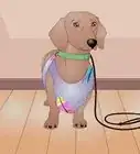 hacer un abrigo para perro